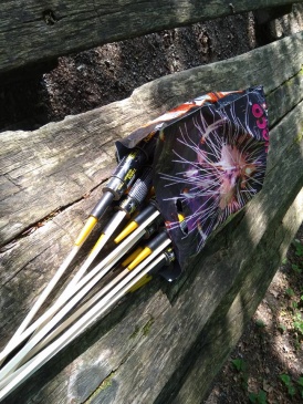 Frohnleichnam Kanoniere