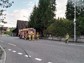 IMG_20190506_194134.jpg IMG_20190506_194134.jpg