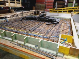 IMG_20210312_212532.jpg IMG_20210312_212532.jpg